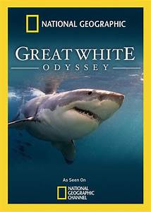 Great White Odysse