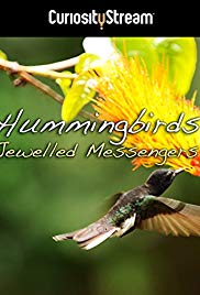 Hummingbirds Jewel
