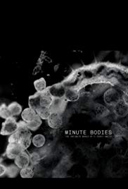 Minute Bodies: The