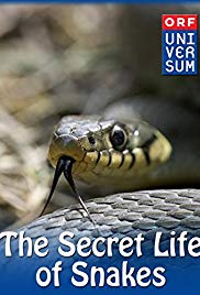 The Secret Life of