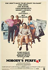 Nobodys Perfekt (1