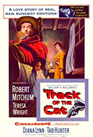 Track of the Cat (