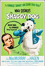 The Shaggy Dog (19