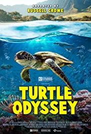 Turtle Odyssey (20