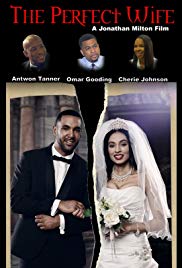 The Perfect Wife (