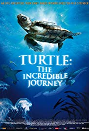 Turtle: The Incred