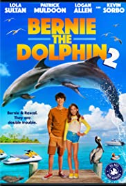 Bernie the Dolphin