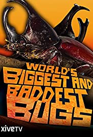 Worlds Biggest and