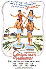 Gidget Goes Hawaii