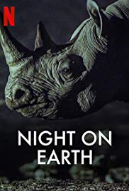Night on Earth (20