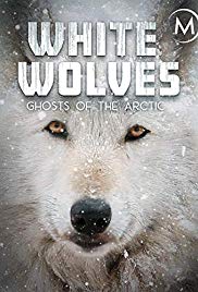 White Wolves: Ghos