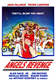 Angels Brigade (19