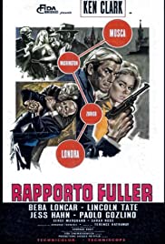 Rapporto Fuller, b