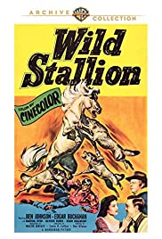Wild Stallion (195