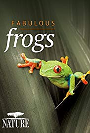 Fabulous Frogs (20