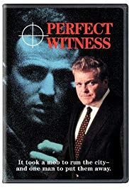 Perfect Witness (1