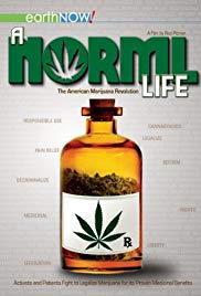A Norml Life (2011