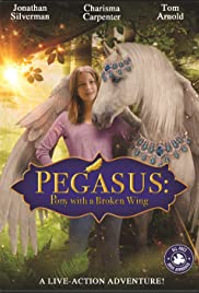 Pegasus: Pony with