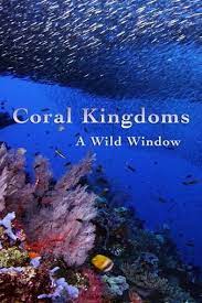 Wild Window: Coral