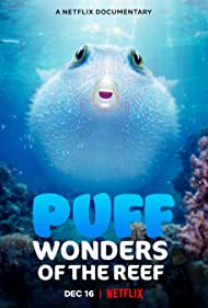Puff Wonders of th