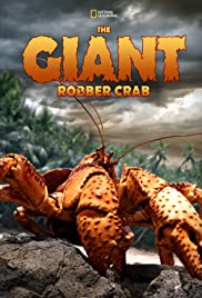 The Giant Robber C