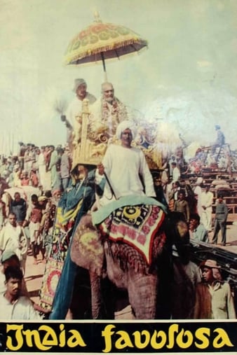 India favolosa (19