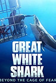 Great White Shark: