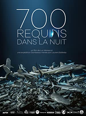 700 requins dans l