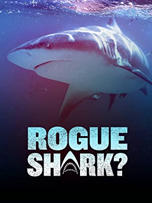 Rogue Shark? (2021