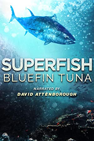Superfish Bluefin 