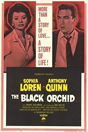 The Black Orchid (