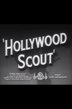 Hollywood Scout (1