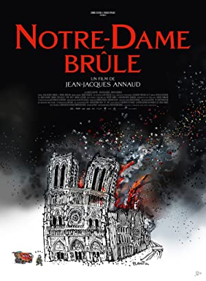 Notre Dame brule (