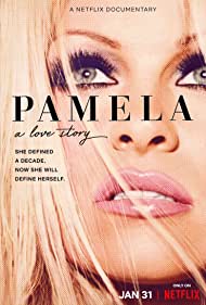 Pamela, a love sto