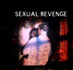 Sexual Revenge (20