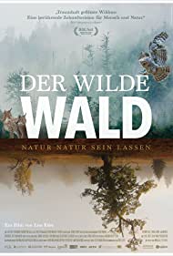 Der Wilde Wald (20