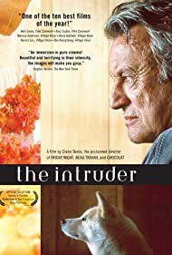 The Intruder (2004
