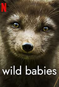 Wild Babies (2022-