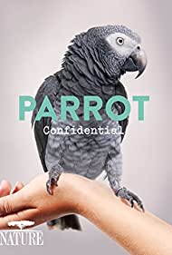Parrot Confidentia