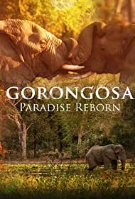 Gorongosa Paradise