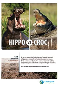 Hippo vs Croc (201