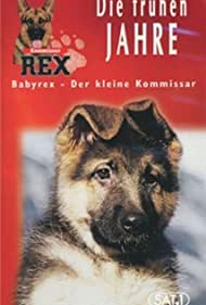 Baby Rex Der klein