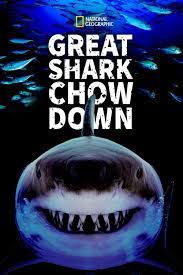 Great Shark Chow D