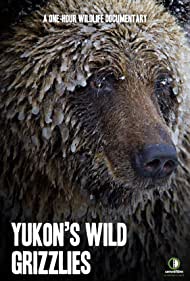 Yukons Wild Grizzl