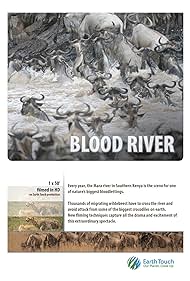 Blood River Crossi