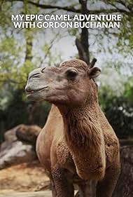 My Epic Camel Adve