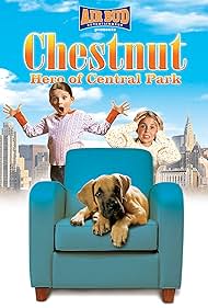 Chestnut Hero of C