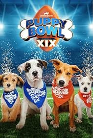 Puppy Bowl XIX (2023)