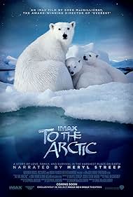 To the Arctic 3D (