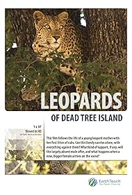 Leopards of Dead T